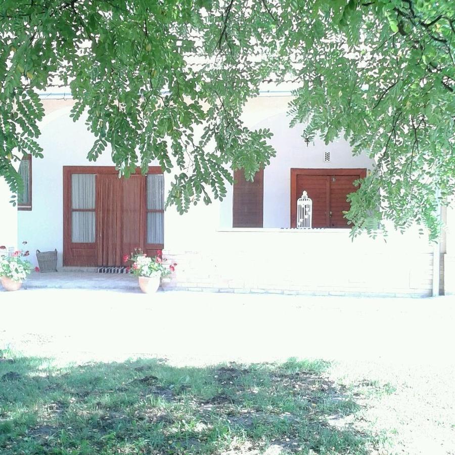 Resort La Tulipe Noire Ceglédbercel Exterior foto